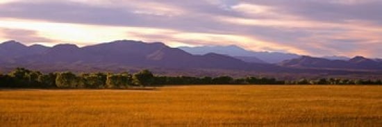 Bosque Del Apache National Wildlife Refuge New Mexico Canvas Art - Panoramic Images (36 x 12)