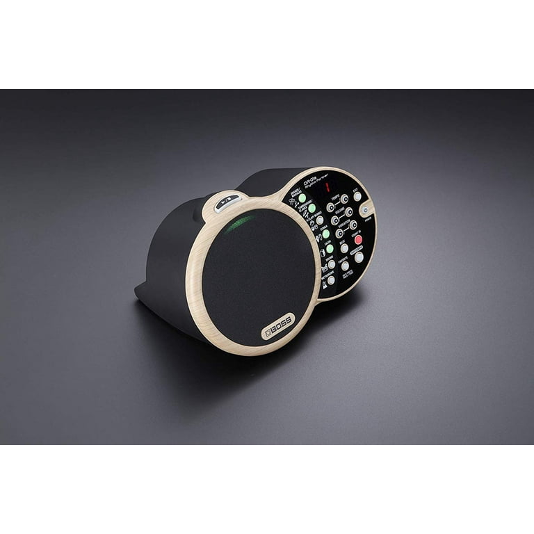 DR-01S Rhythm Partner