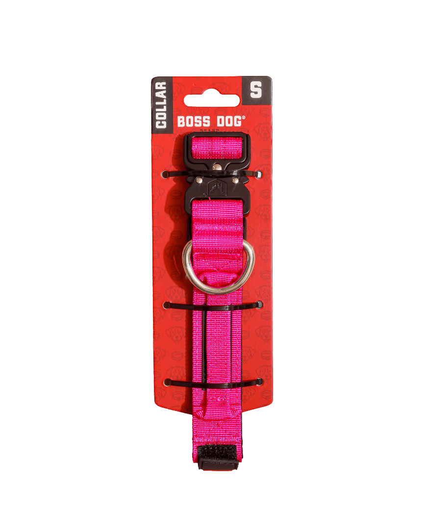 Boss Dog Tactical Collar, Hot Pink, Small