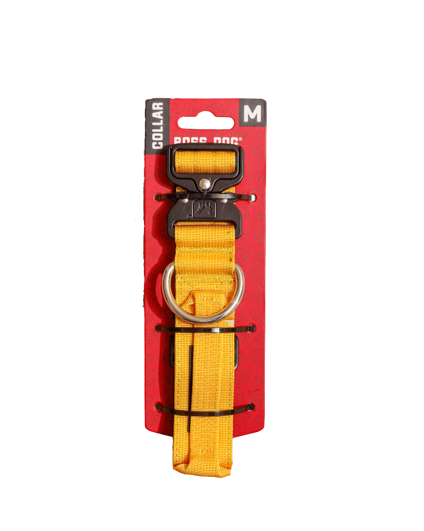 Boss Dog Tactical Collar, Yellow, Medium