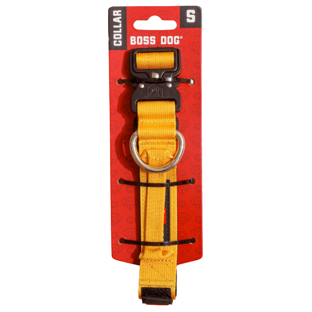 Boss Dog Tactical Collar, Yellow, Small