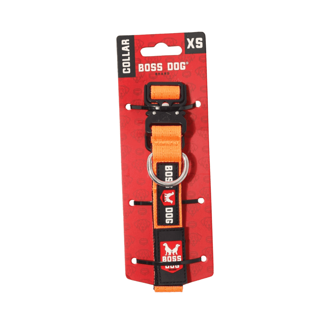Boss Dog ProSeries Heavy Duty Dog Collar, Neoprene Lined, Hunter Orange , XS