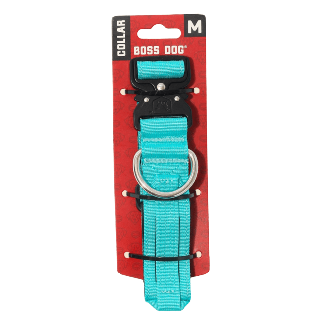 Boss Dog ProSeries Heavy Duty Dog Collar, Neoprene Lined, Teal, Med
