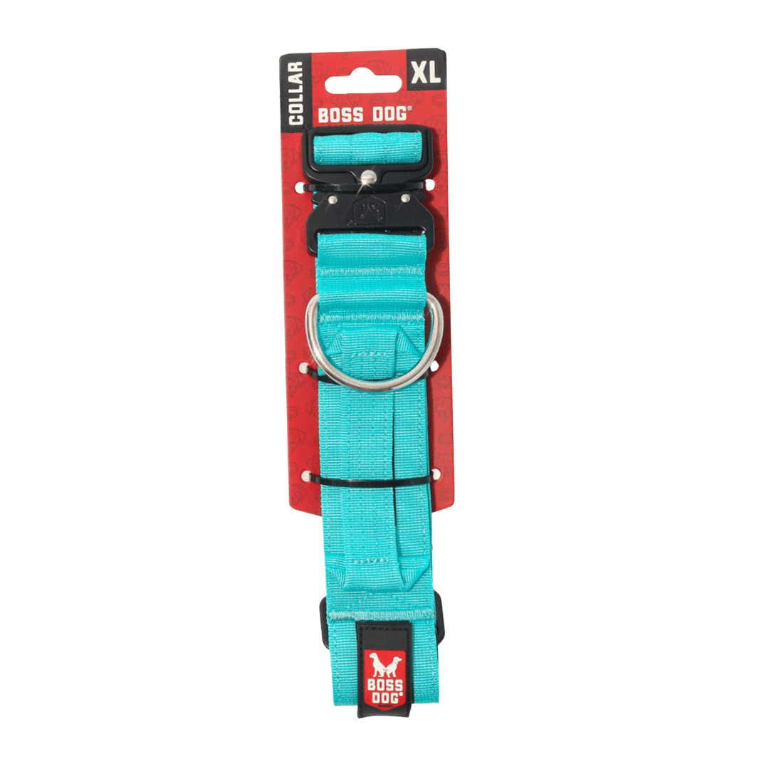 Boss Dog Proseries™  Heavy Duty, Padded Safety Collar, Teal ,XL