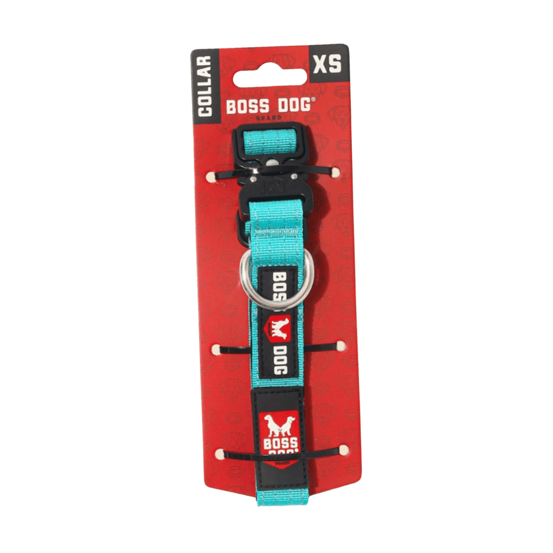 Boss Dog ProSeries Heavy Duty Dog Collar, Neoprene Lined, Teal, XS