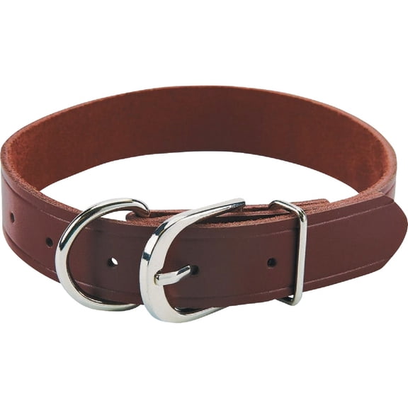 Boss Pet Guardian Gear Leather Hunting Dog Collar - Pack of 8