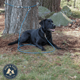 thumbnail image 1 of Boss Pet Snap Around Tree Tie Out Cable 10ft For Dogs Up to 60 lb, 1 of 5