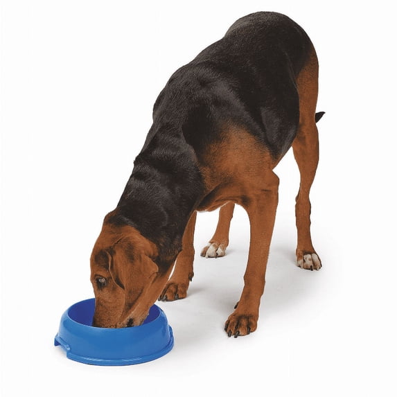 Boss Pet HiLo Plastic Round Small Single Feeder 00201H