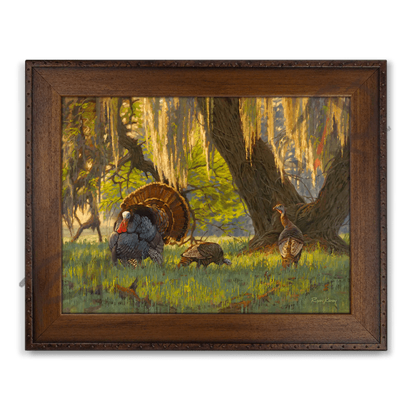 "Boss of the Moss" Wild Turkey Canvas Art Print