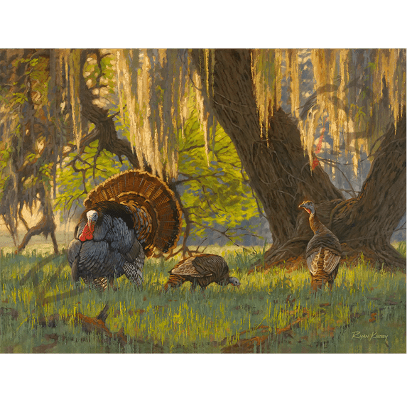 "Boss of the Moss" Wild Turkey Canvas Art Print