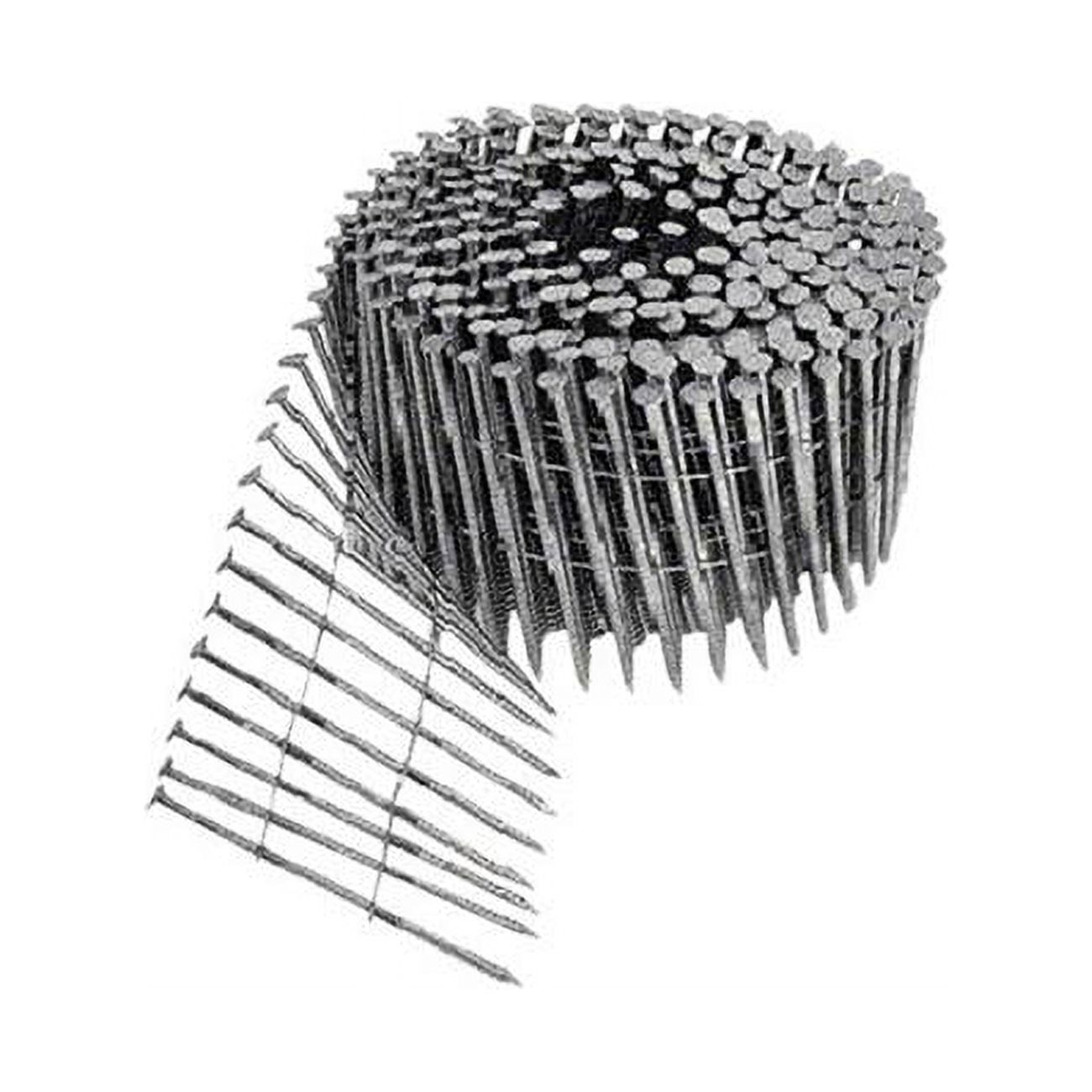 Bostitch 11/4 in. L X 11 Ga. Angled Coil Stainless Steel Nails 15 deg