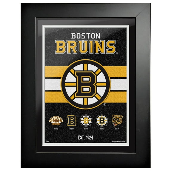 Boston Bruins 12'' x 16'' Logos to History Framed Artwork