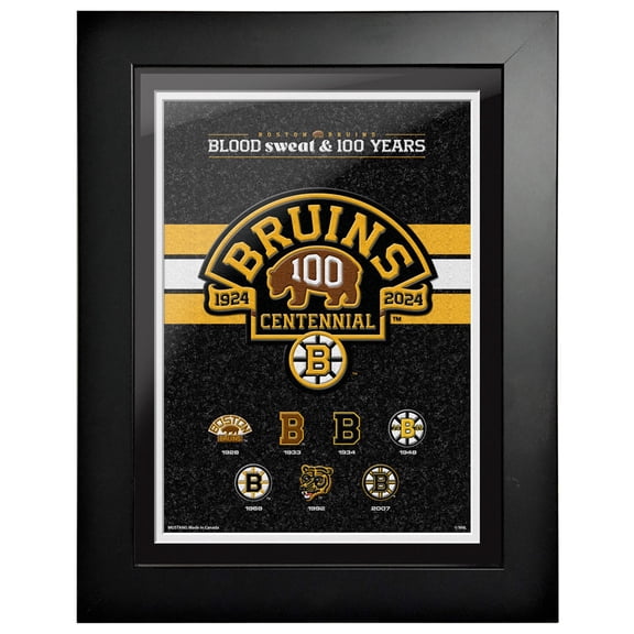 Boston Bruins Centennial 12" x 16" Logo History Framed Print