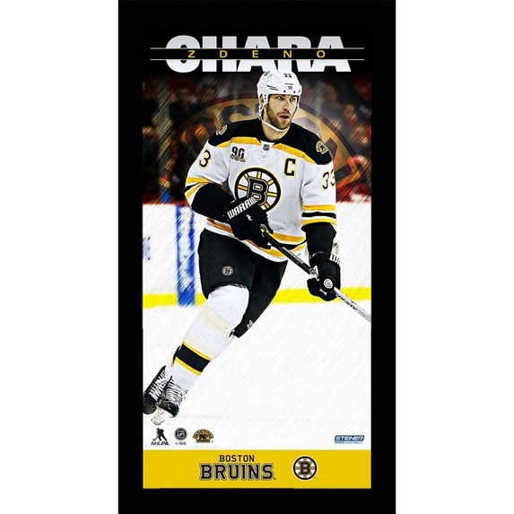 Boston Bruins Zdeno Chara Player Profile 10x20 Framed Photo