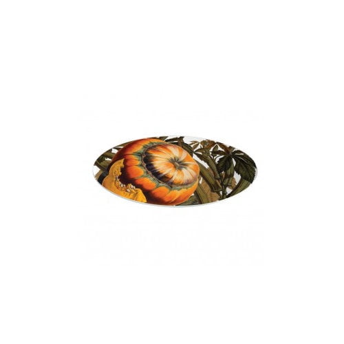 Boston International Autumn Squash 9.75'' Medium Oval Plate (Set of 2)