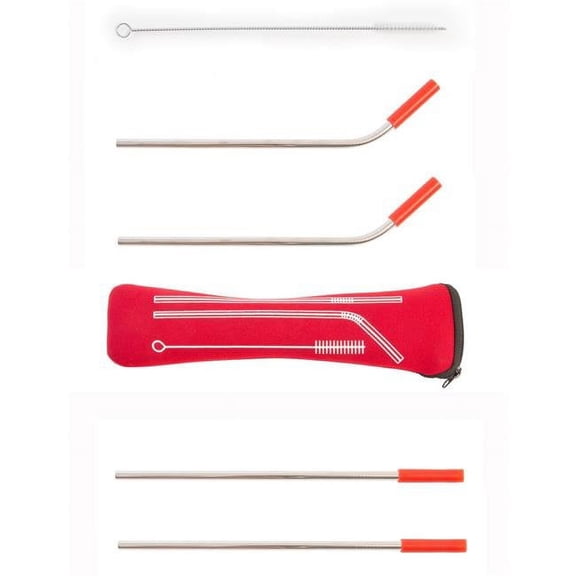 Boston International DMC20160 Eco Friendly on the Go Straw Kit, Red - Set of 2