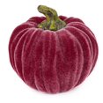 thumbnail image 1 of Boston International Decorative Tabletop Velvet Pumpkin, 3 x 3-Inches, Burgundy, 1 of 4