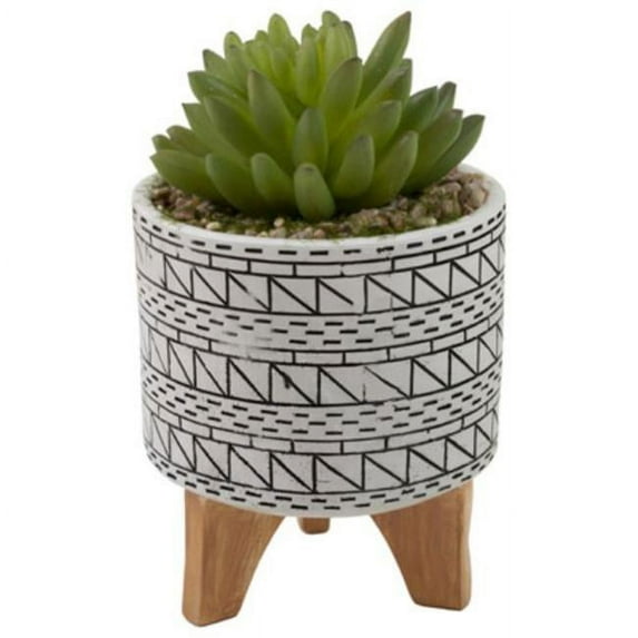 Boston International FAN22422 Mini Echeveria with Black & White Pot