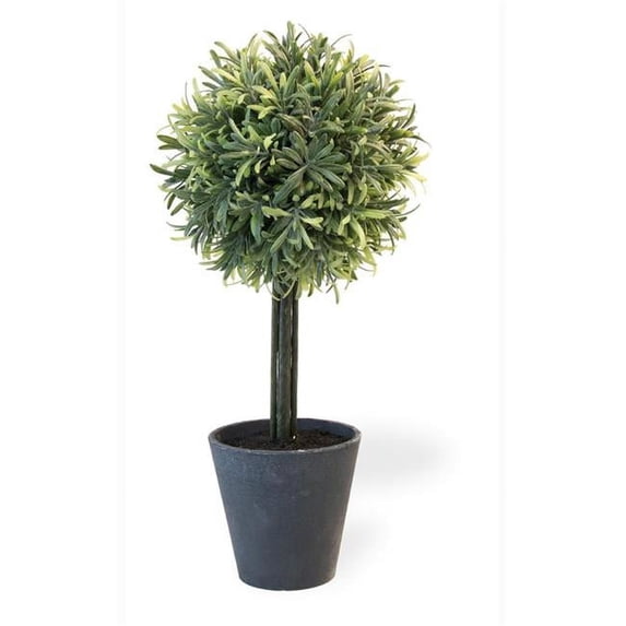 Boston International MGC19117 7 Dia. x 16.5 in. Rosemary Topiary Home Accent