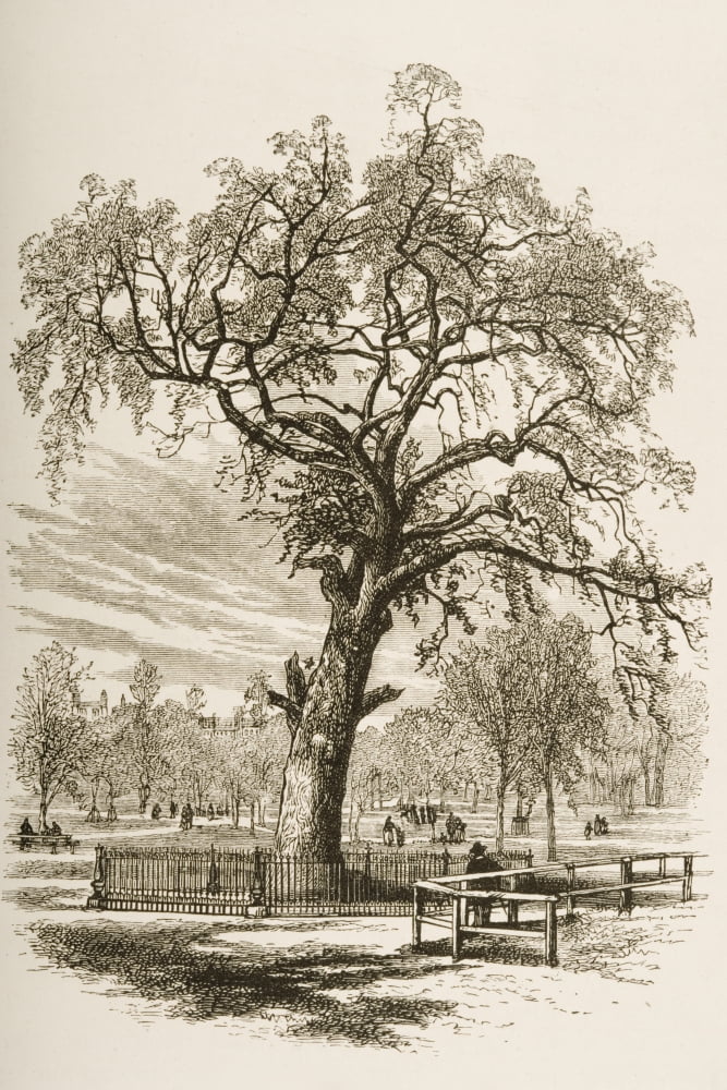 Boston Massachusetts The Liberty Tree In 1870S From American Pictures Drawn With Pen And Pencil By Rev Samuel Manning Circa 1880 Canvas Art - Ken Welsh Design Pics (22 x 34)