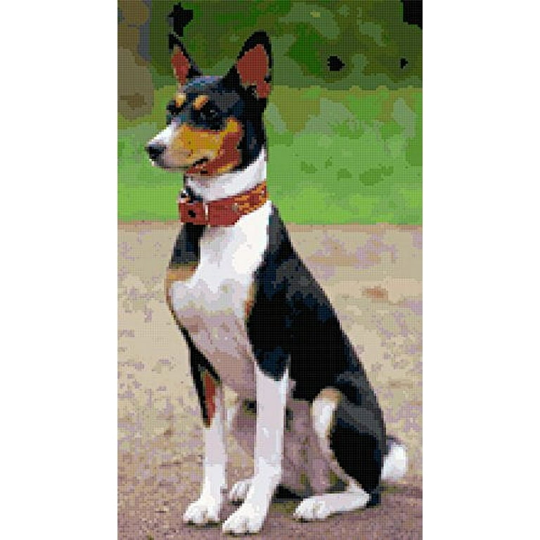 Tricolor hotsell terrier mix