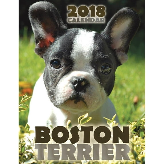 Boston Terrier 2018 Calendar (Paperback)