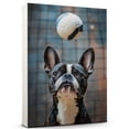 thumbnail image 1 of Boston Terrier Cute Dog Volleyball Poster Canvas – Retro Boston Terrier Dog Batter in Action With Volleyball for Themed Living Room, 1 of 5