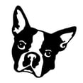 thumbnail image 1 of Boston Terrier Decal Sticker | 5.5-Inches Wide | Black Vinyl Decal, 1 of 1