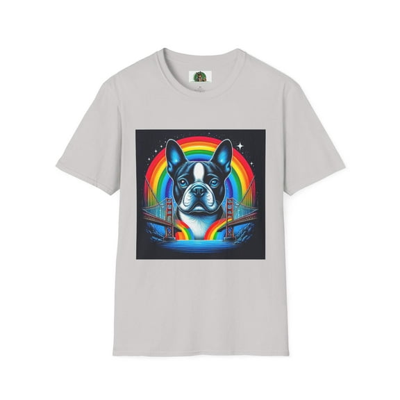 Boston Terrier Dog Overlooking Rainbow Bridge