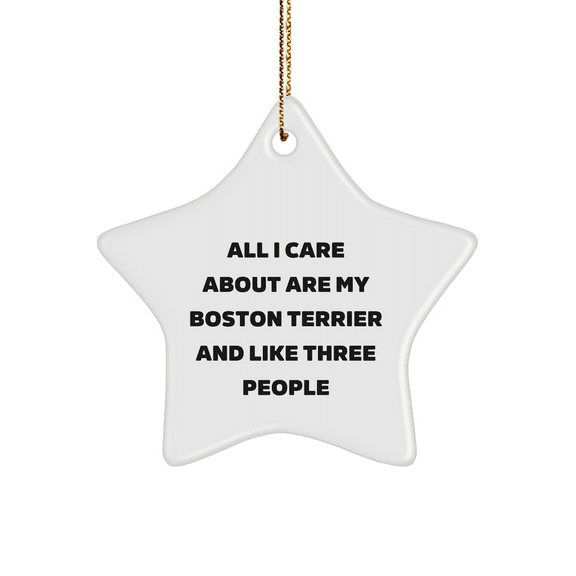 Boston Terrier Dog Star Ornament, Funny Quote Gifts from Friends, Christmas Unique Gifts for Boston Terrier Dog Lovers