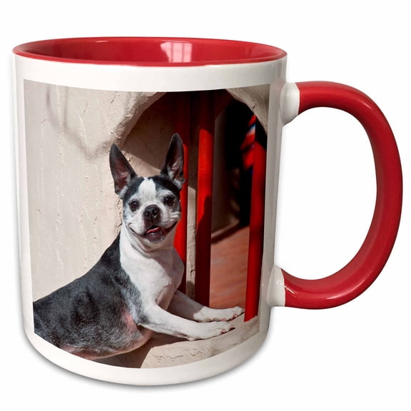 3drose, Boston Terrier Dog, Window with Red Bars - Us32 Zmu0015 - Zandria Muench Beraldo, 11oz Two-tone Red Mug