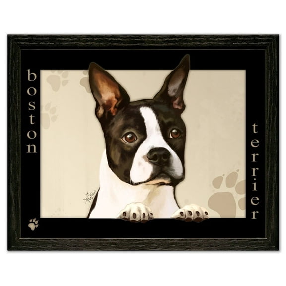 Boston Terrier Dog by Scott Rogers Paws on the Picture Frame 13x10 Framed Art Print