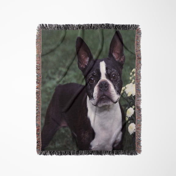 Boston Terrier Duke, Woven Blanket