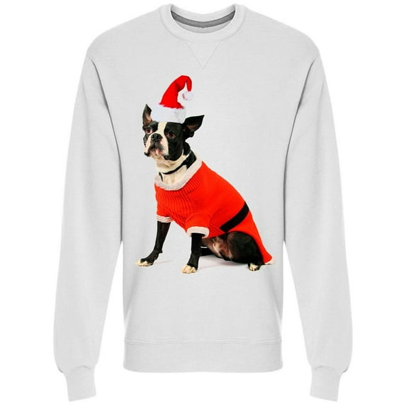 Boston Terrier In Santa Suit Sweatshirt Men -Image by Shutterstock, Male Small