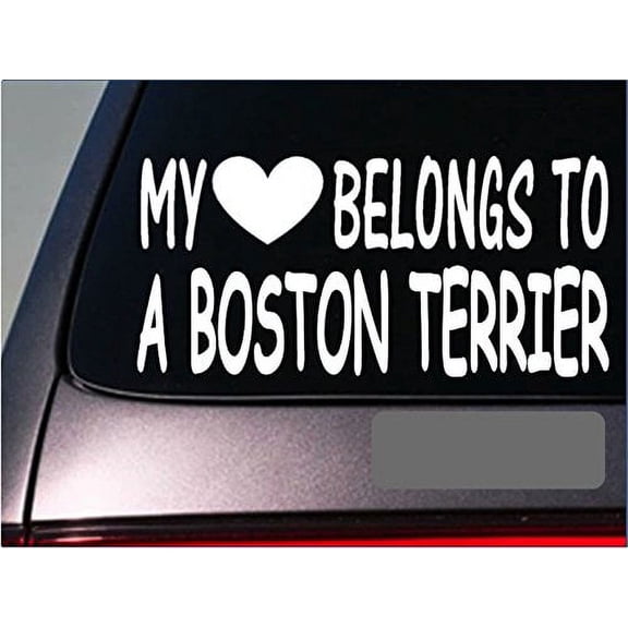 Boston Terrier My heart belongs Sticker *G481* 8" Vinyl Decal dog training dogs