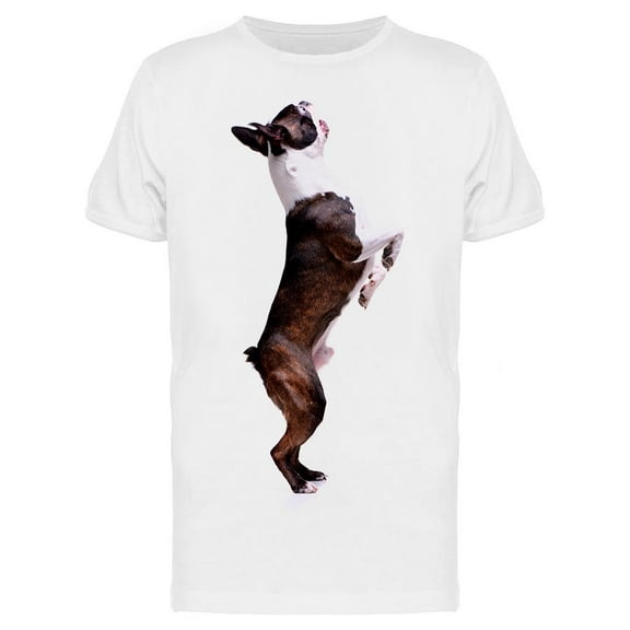 Boston Terrier On Hind Legs T-Shirt Men -Image by Shutterstock, Male Large