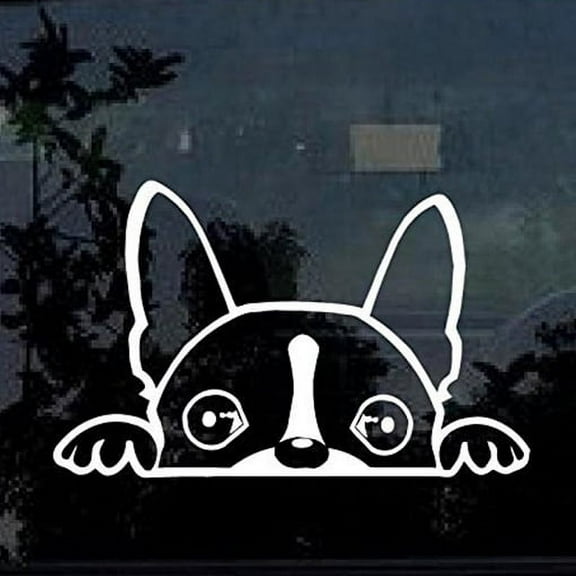 Boston Terrier Peeking Vinyl Cut Decal With No Background | 6 Inch White Decal | Car Truck Van Wall Laptop Cup