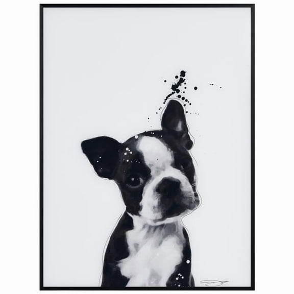 "Boston Terrier" Pet Paintings on Printed Glass Encased with a Gunmetal Anodized Frame