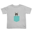 thumbnail image 1 of Boston Terrier Pockets Cute Toddler Tshirts for Boys Girls (Gray, Youth XL), 1 of 5