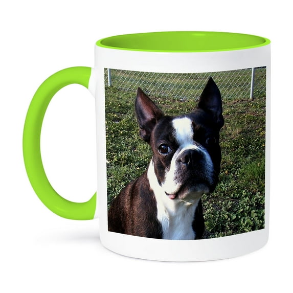 3dRose, Boston Terrier Portrait, 11oz Two-Tone Green Mug
