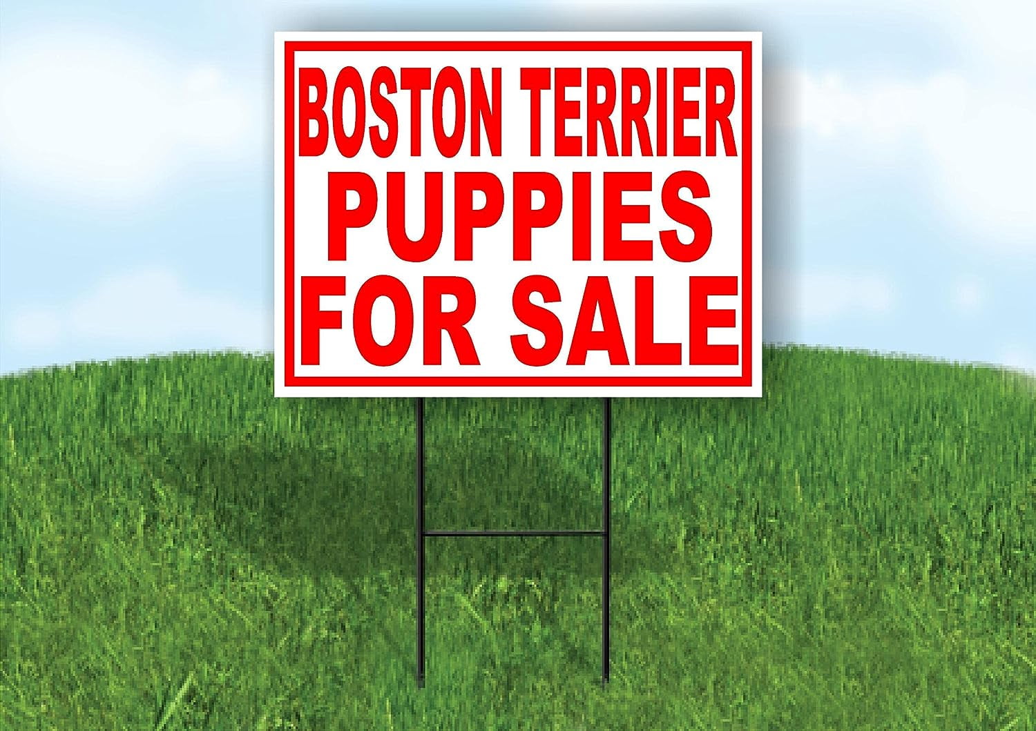 Boston Terrier Puppies For Sale Red Yard Sign Road Sign With Stand