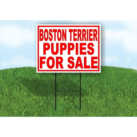 Boston Terrier Puppies For Sale Red Yard Sign Road Sign With Stand