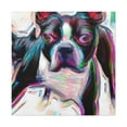 thumbnail image 1 of Boston Terrier Reflection - Canvas, 1 of 25
