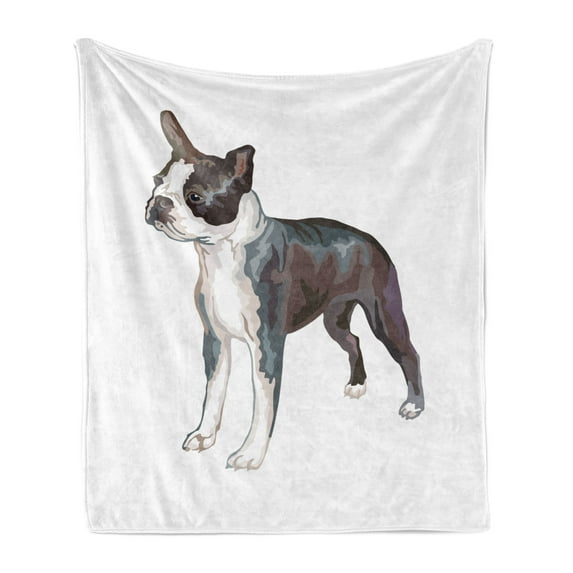 Boston Terrier Soft Flannel Fleece Throw Blanket, Portrait of Standing Canine Realistic Illustration Digital Color Effect, Cozy Plush for Indoor and Outdoor Use, 60" x 80", Multicolor, by Ambesonne