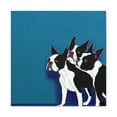 thumbnail image 1 of Boston Terrier Zenitude - Canvas, 1 of 25