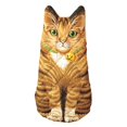 thumbnail image 1 of Boston Warehouse Kitten Decorative Mitt, One Size (25132), 1 of 3