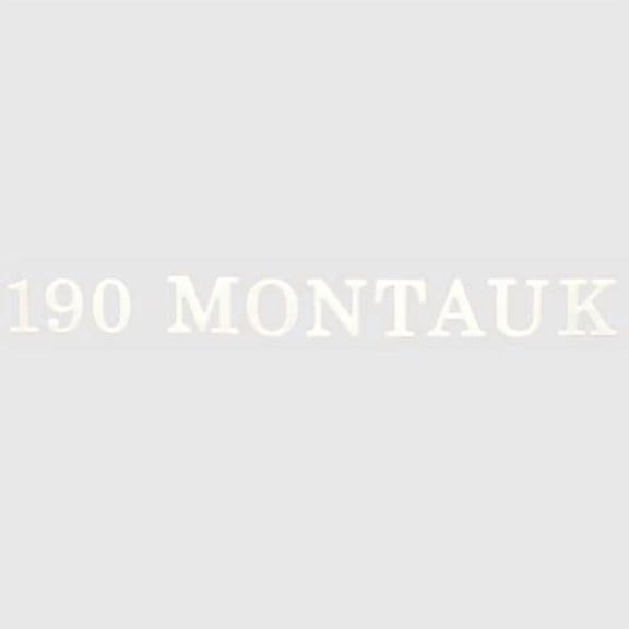 Boston Whaler Boat Raised Decal Sticker | Emblem 190 Montauk White