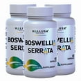 thumbnail image 1 of HALLUSA NATURAL Boswellia Serrata Extract Capsules, Ayurvedic Joint and Inflammation Support Supplement, 180 Count, 1 of 8