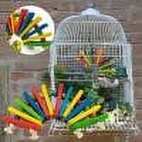 BotaniNest Gnawing Parrot Parrot Cuttlefish For Birds Toys Teeth Toys Toys Grinding Bird Block Colorful Wooden Bones Parrot Parrot Toys