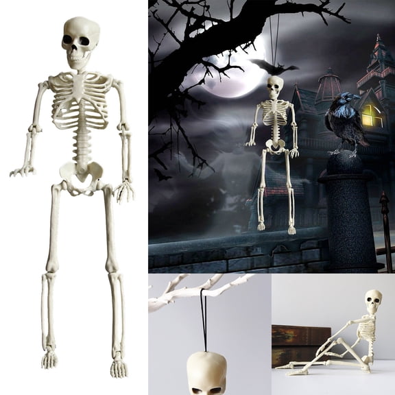 BotaniNest Halloween Decorations Halloween Skeleton Decorations Full Body Halloween Skeleton With Movable Joints For Best Halloween